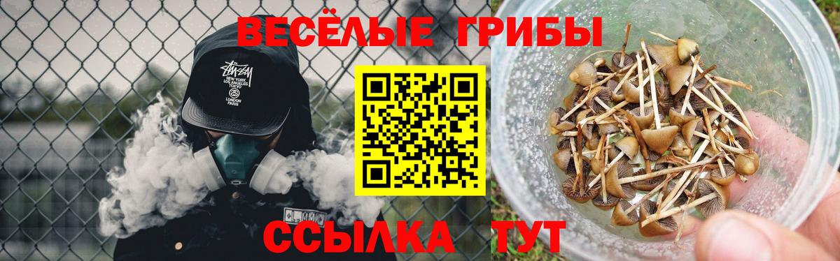 Псилоцибиновые грибы мицелий Канск